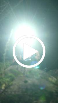 BIB:  <button type="button" onclick="openModal(27921407)" class="btn btn-primary btn-sm float-right" data-toggle="modal" data-target=".modal-high-quality">
                <i class="fa fa-download"></i> Download
                </button>